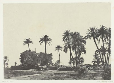 Landsbyen Hamameh, Øvre Egypten, 184951, trykt 1852. af Maxime Du Camp
