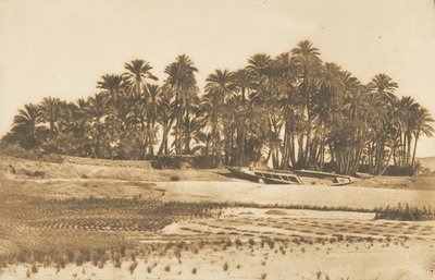 Udsigt over Elephantine Island, overfor Aswan, 1849-50. af Maxime Du Camp