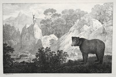 Bjerget landskab med bjørn i forgrunden. af Maximilian Josef Wagenbauer