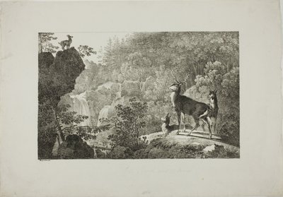 Hjorten og gemsene af Maximilian Josef Wagenbauer