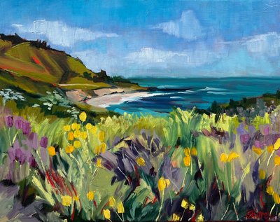 Blomstring af vilde blomster ved kysten af Maxine Shore