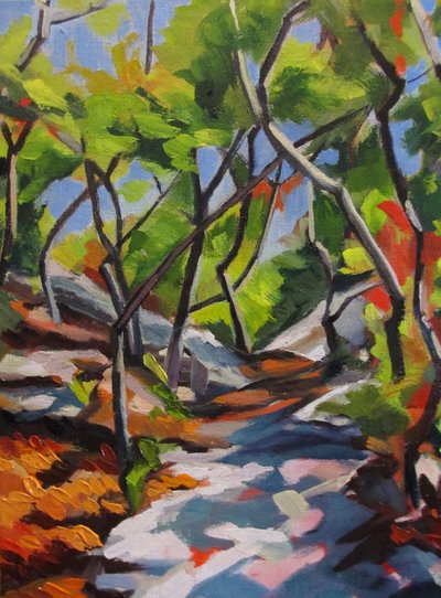 En tur i den solbeskinnede skov af Maxine Shore
