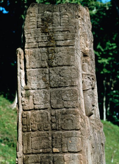 Detalje af en stele af den store plads af Mayan