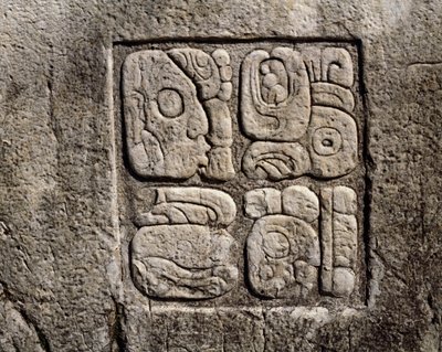 Glyfer i huset C, gårdhave 2 i paladset af Mayan