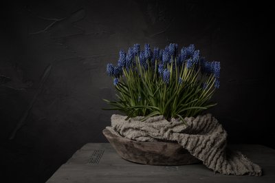 Rustikke blå blomster af Mayra Pama
