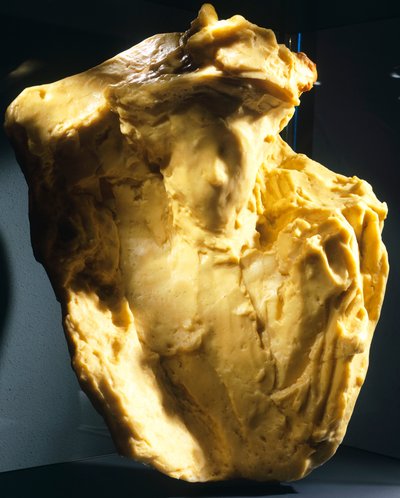 Bookmaker af Medardo Rosso (1858-1928). af Medardo Rosso