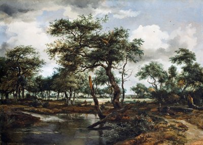 A Pond in the Forest, 1668 (olie på egetræspanel) af Meindert Hobbema