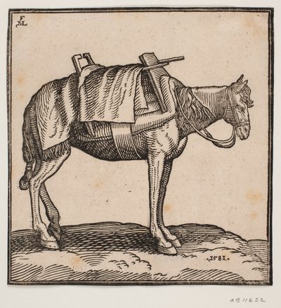 En opsadlet bærehest af Melchior Lorck