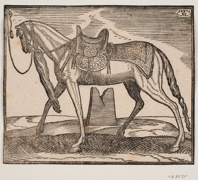 Elegant opsadlet hest, tøjret ved v. indramningslinje, profil mod v.; under hstens bug ses en ruineret af Melchior Lorck