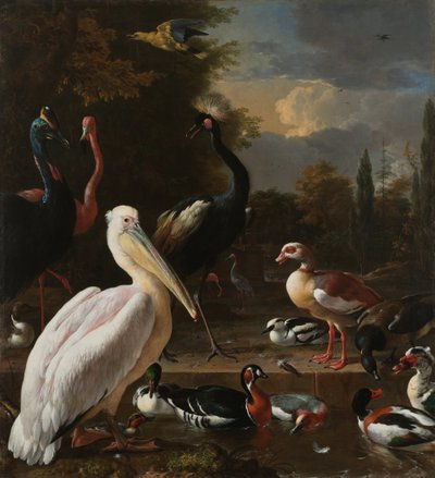 En pelikan og andre fugle nær et vandbassin, kendt som "Den flydende fjer". af Melchior dHondecoeter
