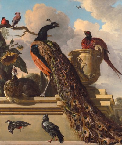 Fugle i parken af Melchior de Hondecoeter