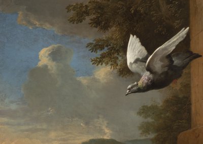 Detalje fra Menageriet, ca. 1680 (olie på lærred) af Melchior de Hondecoeter