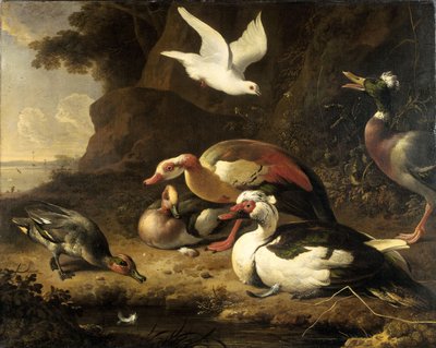 Ænder af Melchior de Hondecoeter