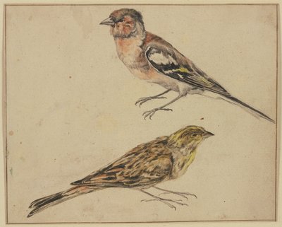 En stillits og en tornirisk af Melchior de Hondecoeter