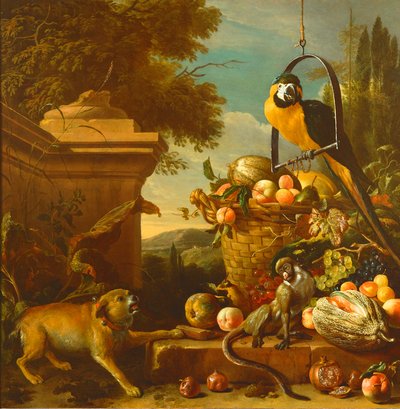 Ara og en abe af Melchior de Hondecoeter