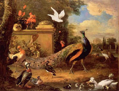 Påfugle og andre Fugle ved en Sø af Melchior de Hondecoeter