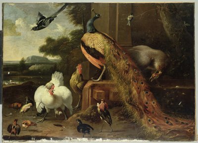 Oprør i fjerkrækuppet af Melchior de Hondecoeter