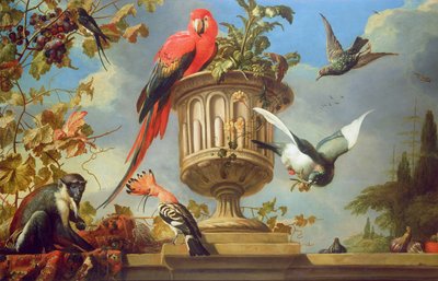 Scarlet Macaw sidder på en urne, med andre fugle og en abe, der spiser druer af Melchior de Hondecoeter