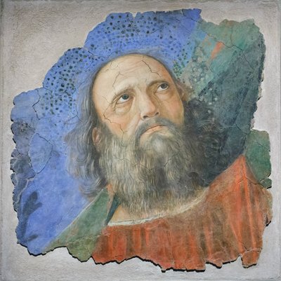Apostolens hoved, ca. 1480 (fresko) af Melozzo da Forli