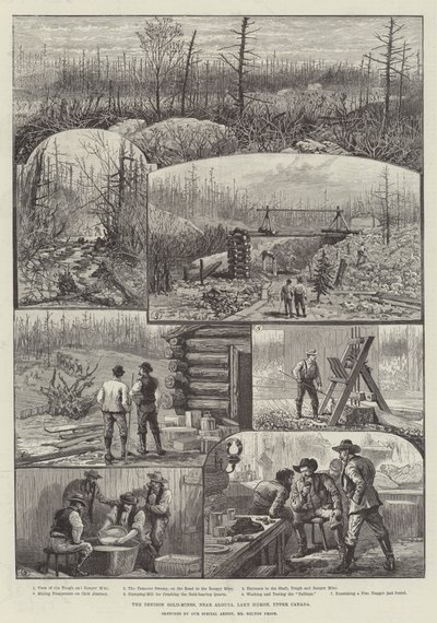 Denison Gold-Mines, nær Algoma, Lake Huron, Upper Canada af Melton Prior