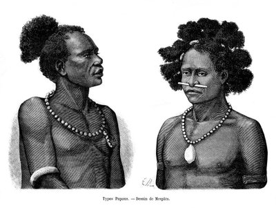 Papuanske typer, 1800-tallet af Mesples