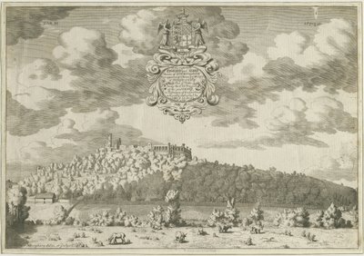 Dudley Castle: kobberpladegravering, nd [1653-1686] (tryk) af Michael Burghers