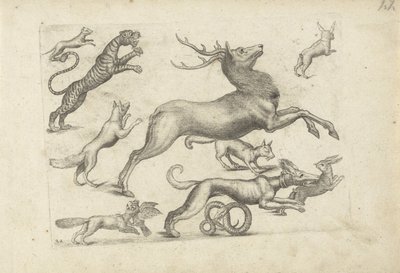Studieark med tegningseksempler: forskellige dyr af Michael Snijders (attributed to)