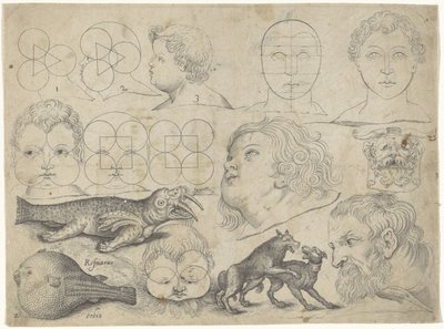 Studieark med tegningseksempler: figurer, dyr Tegningseksempler (serietitel) af Michael Snijders