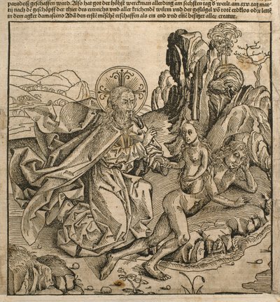 Gud Faderen skaber Eva fra Adams ribben, illustration fra 