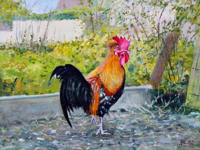 Le Coq Lico, 2003 (olie på plade) af Michel Bultet
