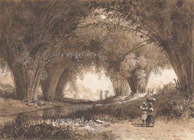 Bambusbuer, St. Anns af Michel Jean Cazabon