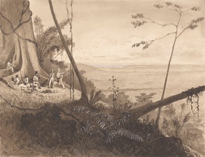 Cedar Point, Mount Tamana af Michel Jean Cazabon