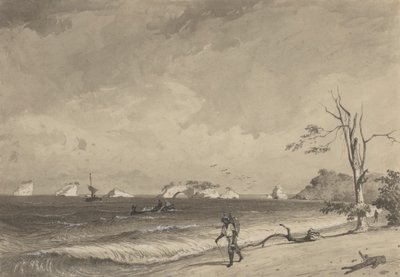 Los Gallos, Icacos Bay af Michel Jean Cazabon