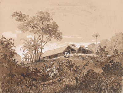 The Cottage, Mount Tamana af Michel Jean Cazabon