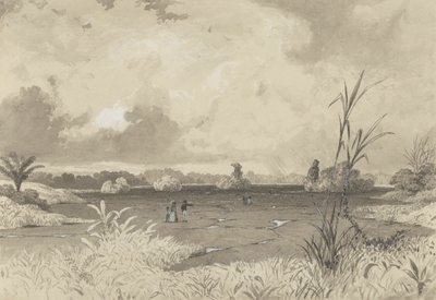 The Pitch Lake af Michel Jean Cazabon