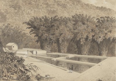Reservoaret ved Maraval af Michel Jean Cazabon