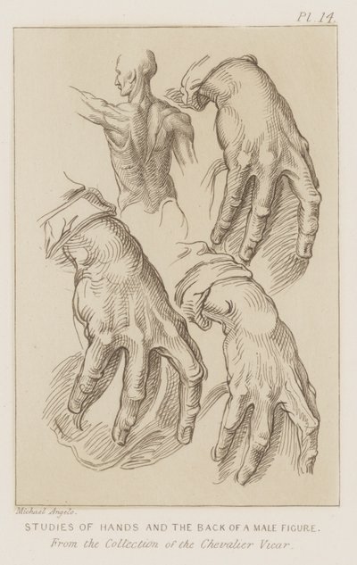 Studier af hænder og bagsiden af en mandsfigur (ætsning) af Michelangelo (after) Buonarroti