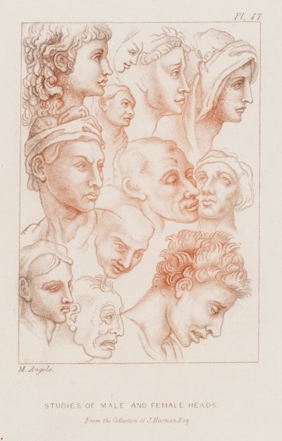 Undersøgelser af mandlige og kvindelige hoveder (ætsning) af Michelangelo (after) Buonarroti