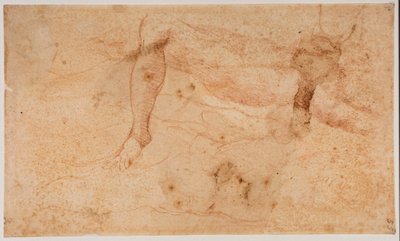 Studier af nøgenbilleder af Michelangelo (after) Buonarroti