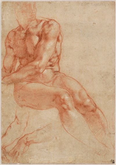 Siddende ung mandlig nøgenmodel og to armstudier (recto), ca. 1510-11 af Michelangelo