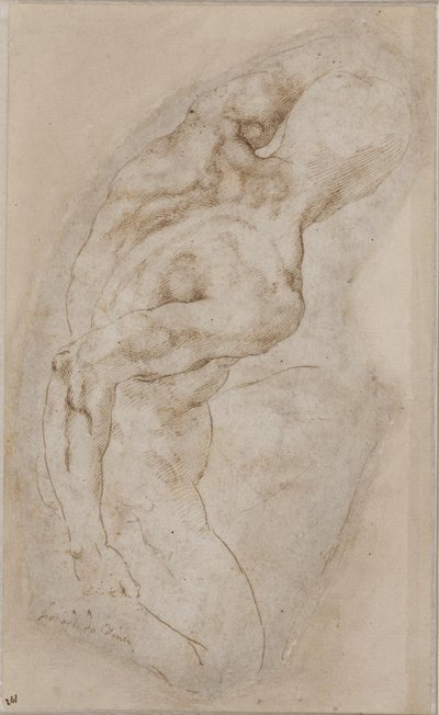 En knælende yngling set bagfra af Michelangelo Buonarroti