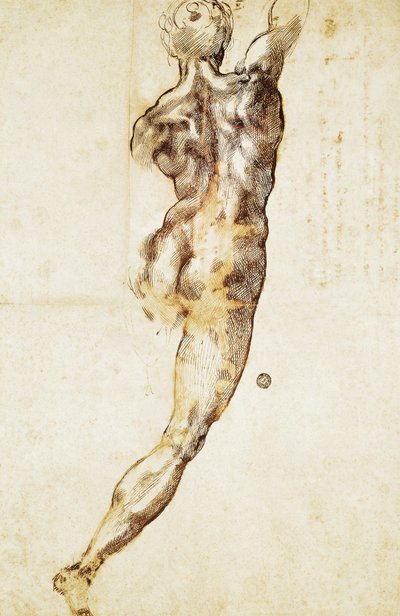 En nøgen mand set bagfra, studie til slaget ved Cascina, af Michelangelo (1475-1564), tegning. af Michelangelo Buonarroti
