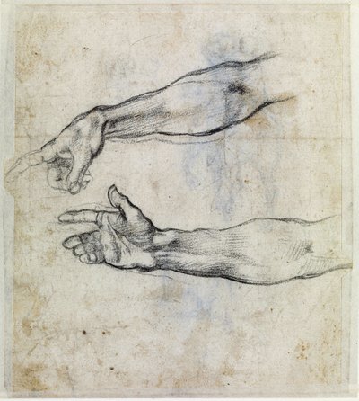 "Armdetaljer" af Michelangelo Buonarroti