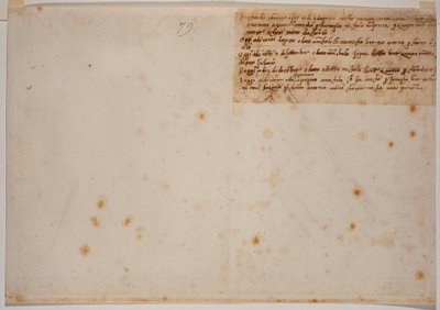 Autograferede erindringer af Michelangelo Buonarroti