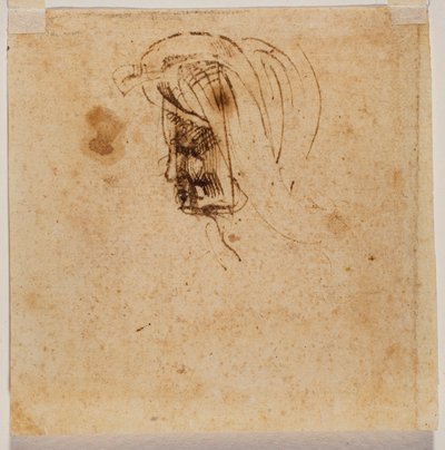 Kvindeligt hoved af Michelangelo Buonarroti