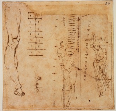 Figurstudier af Michelangelo Buonarroti