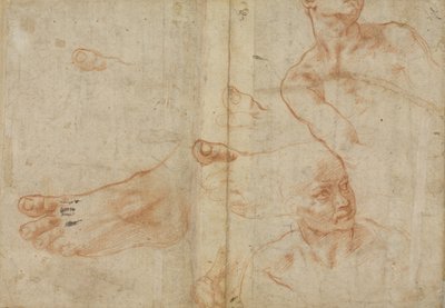 Figurstudier for det sixtinske loft af Michelangelo Buonarroti