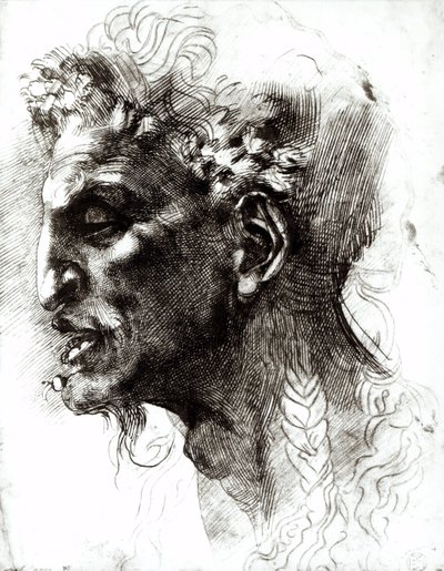Leder af en Satyr af Michelangelo Buonarroti