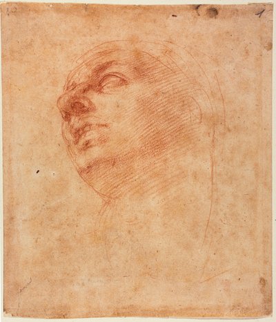 Hovedstudie til den sixtinske Jonas af Michelangelo Buonarroti