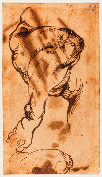 Benstudie for barnet i Doni Tondo af Michelangelo Buonarroti